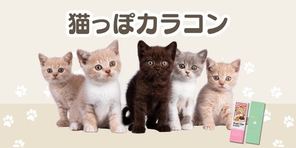猫っぽカラコン特集　サムネイル