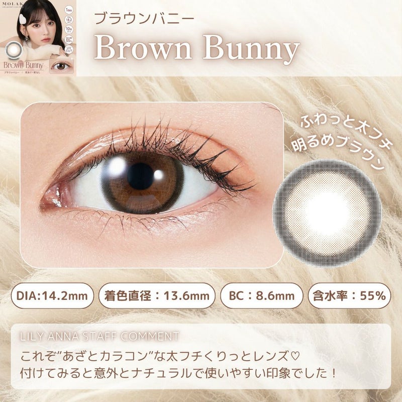 ブラウンバニー　モラク　ワンデー　スタッフコメント