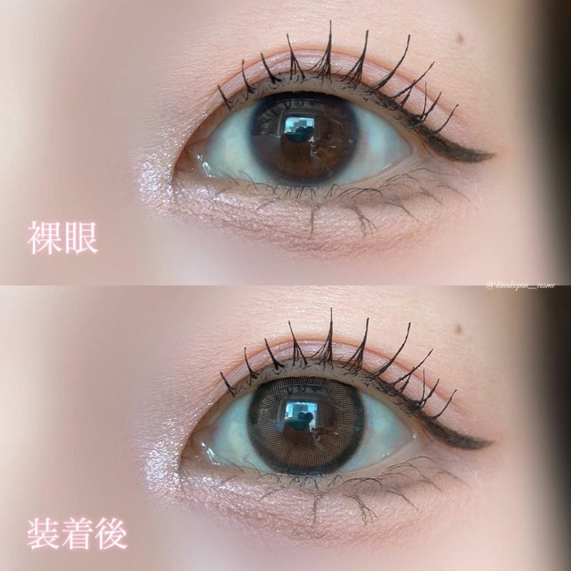 モラク　ブラウンバニー　装用画像