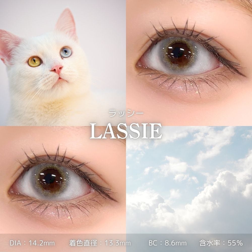 エヌズコレクション　ラッシー　装用画像