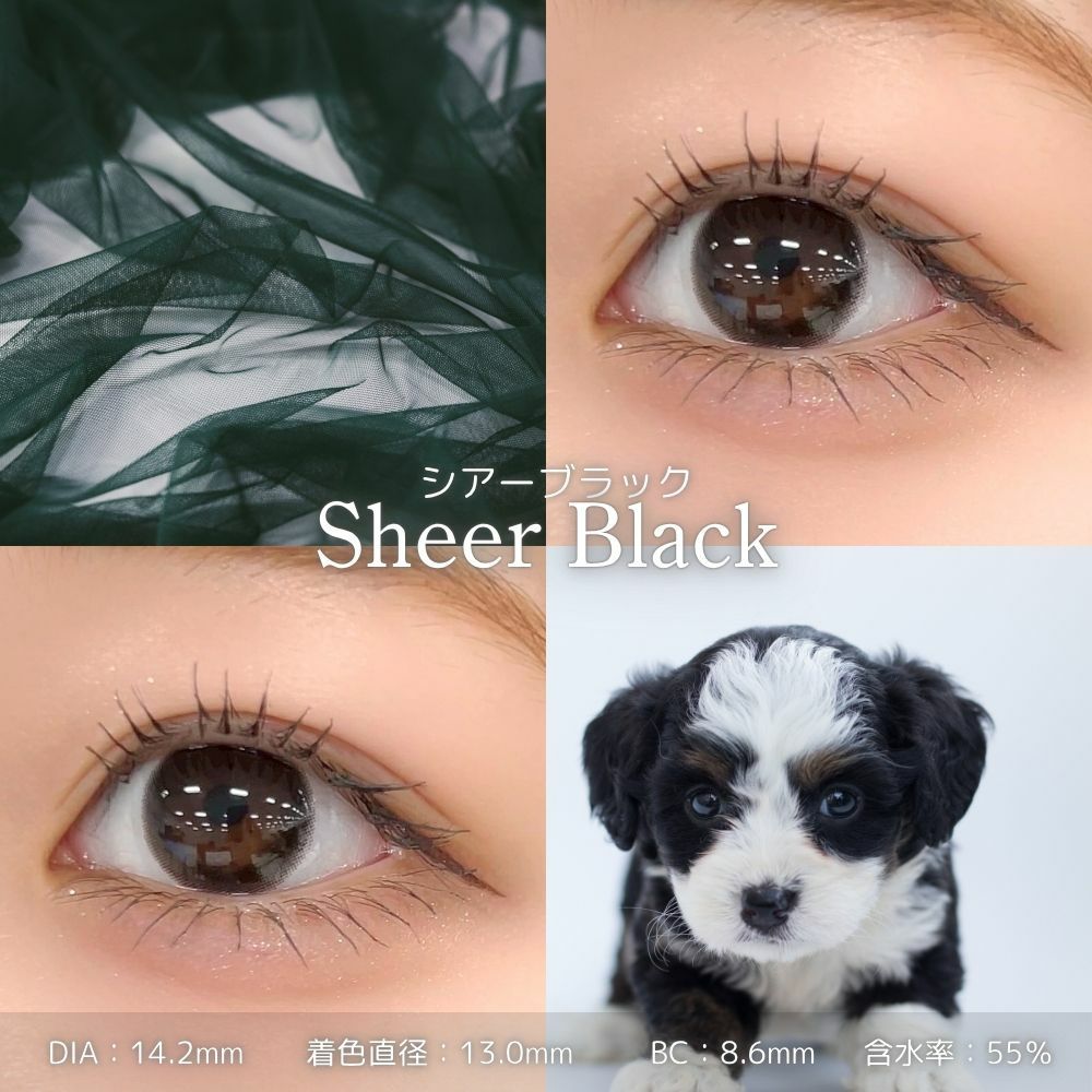 フェリアモワンデー　シアーブラック　レンズスペック