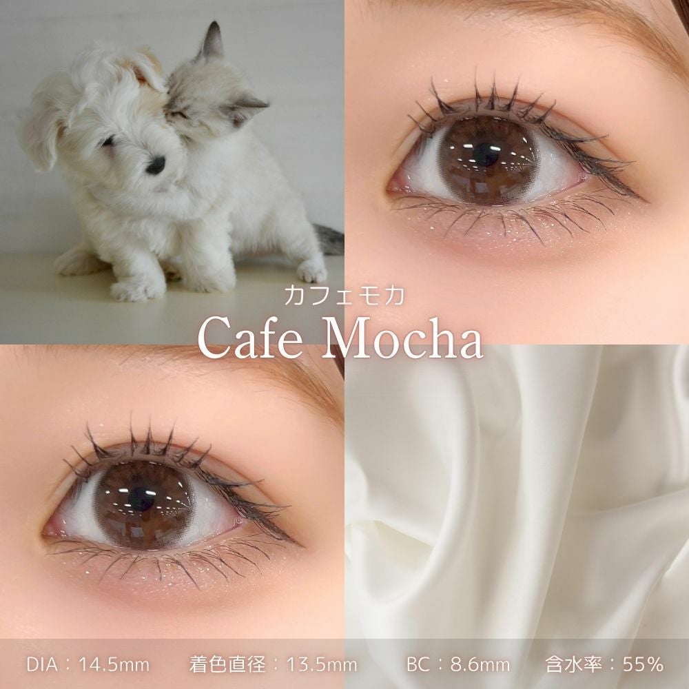 1day] カフェモカ フェリアモ 白石麻衣 | カラコン通販 LILY ANNA