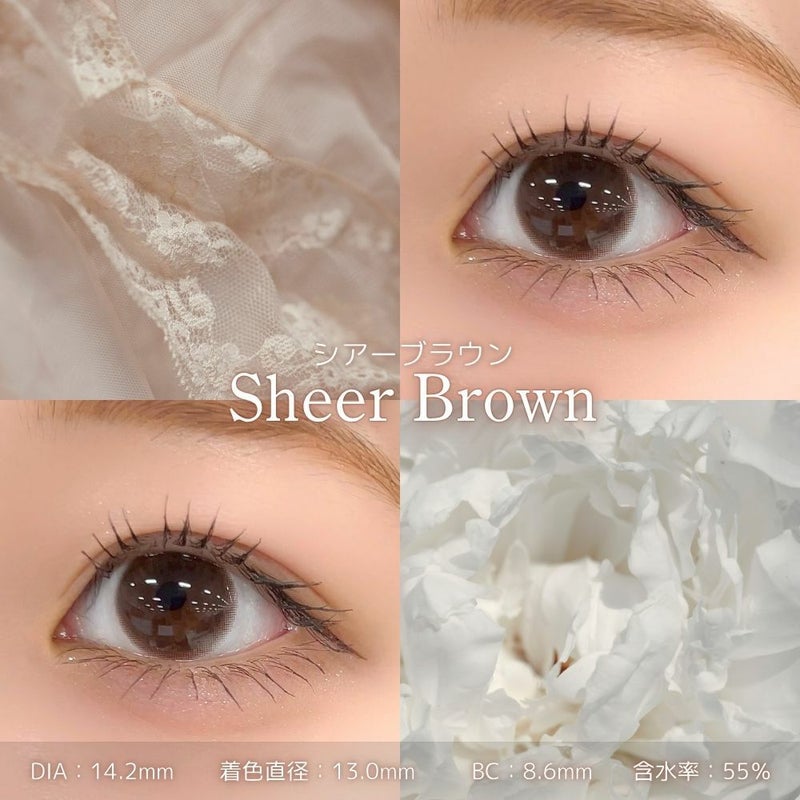 フェリアモワンデー　シアーブラウン　レンズスペック