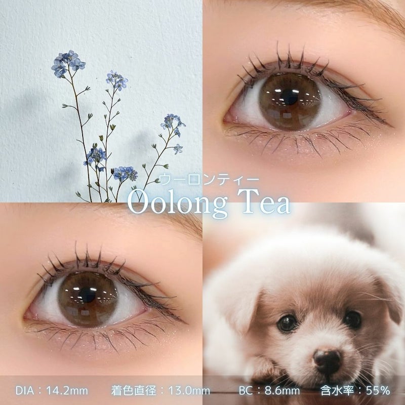 フェリアモワンデー　ウーロンティー　レンズスペック