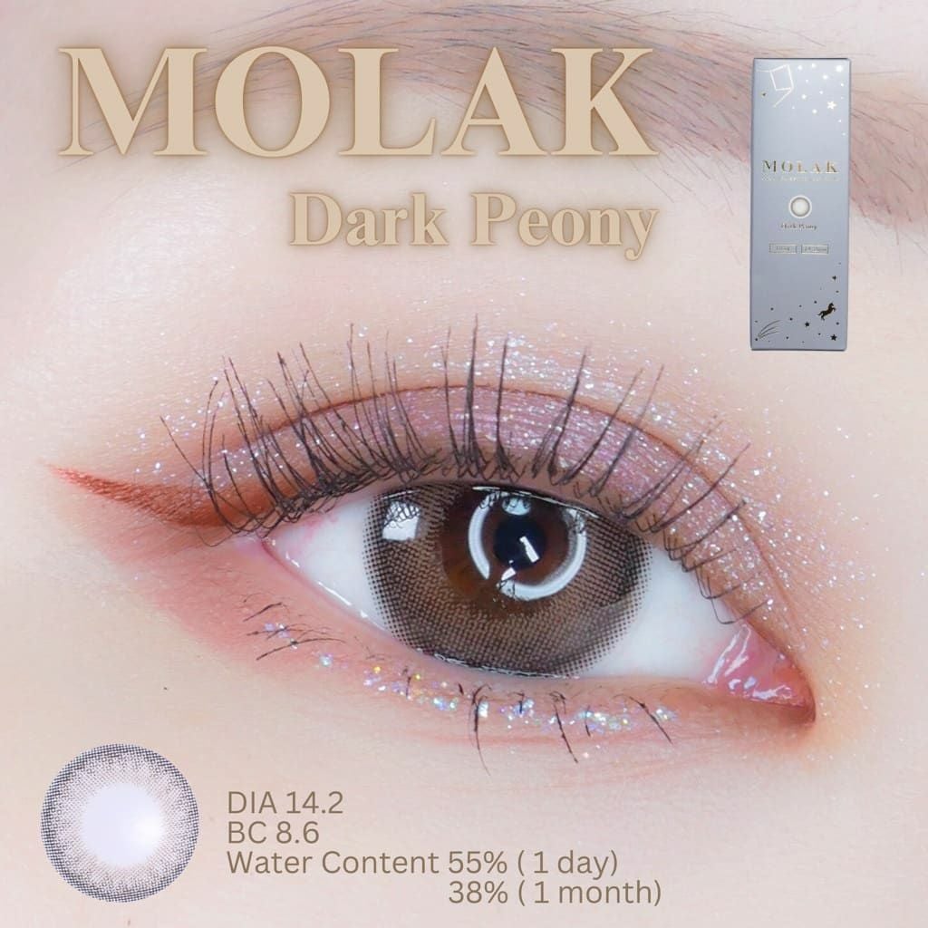 ダークピオニー　モラク　装用画像