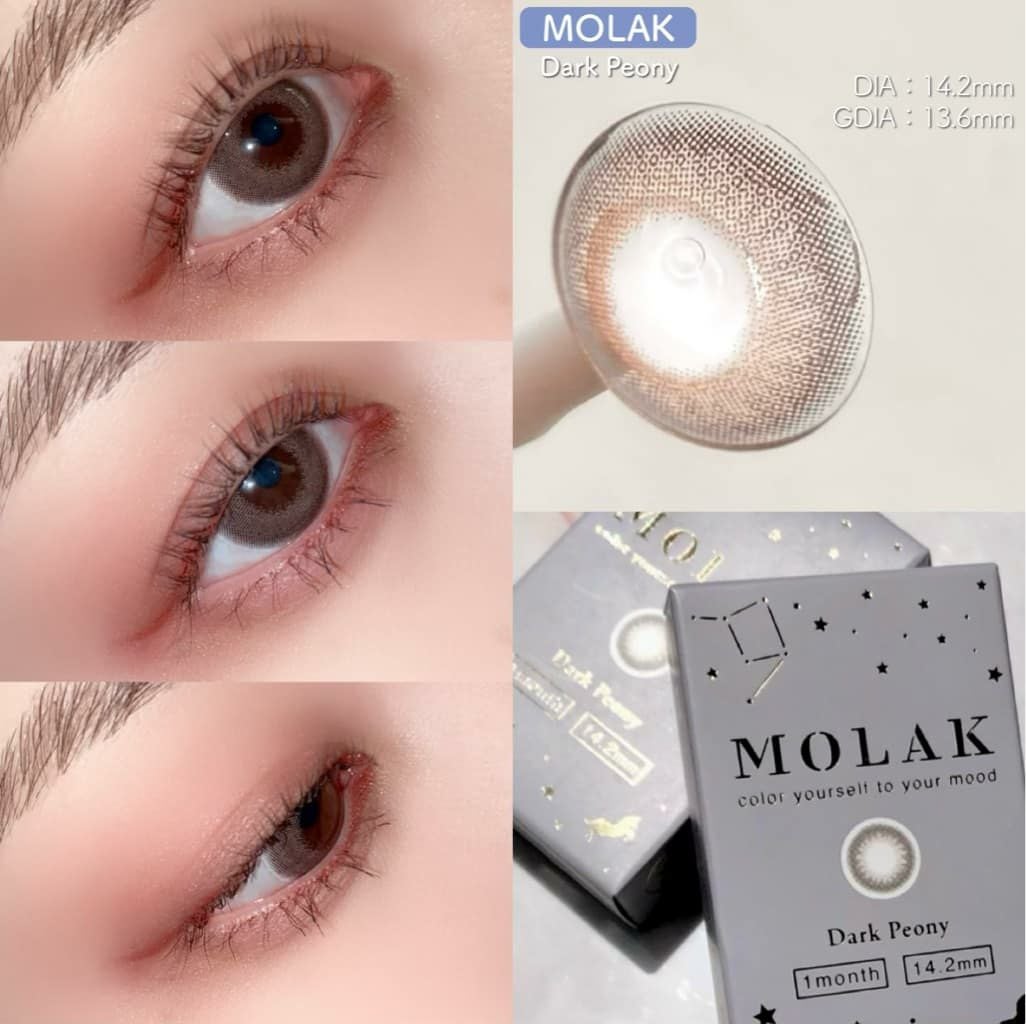 ダークピオニー　モラク　装用画像