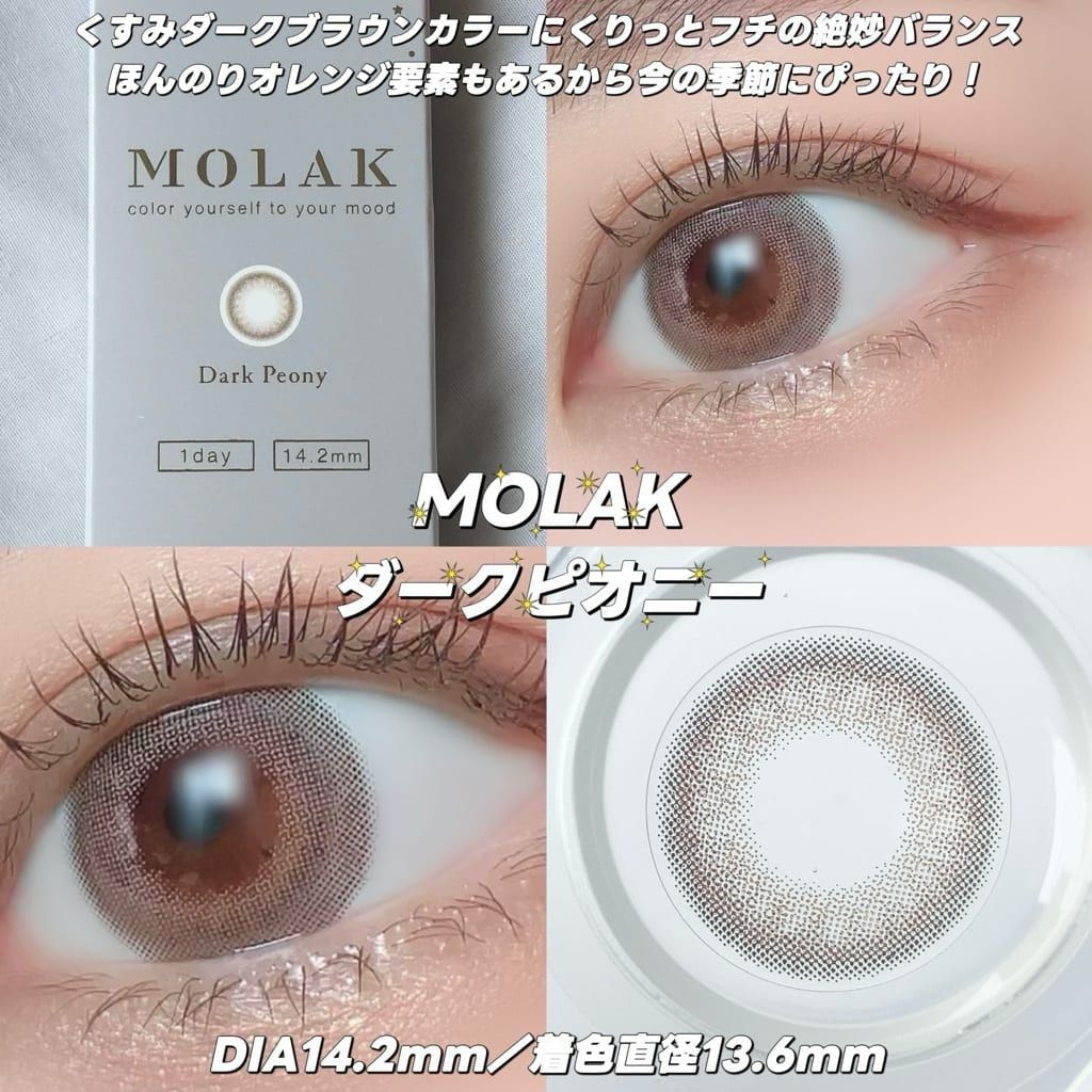 【新品タグ付き】POLObyRALFRAURENシルバービッグポニーアジア限定黒 1day] ダークピオニー モラク 宮脇咲良 | カラコン通販 LILY ANNA