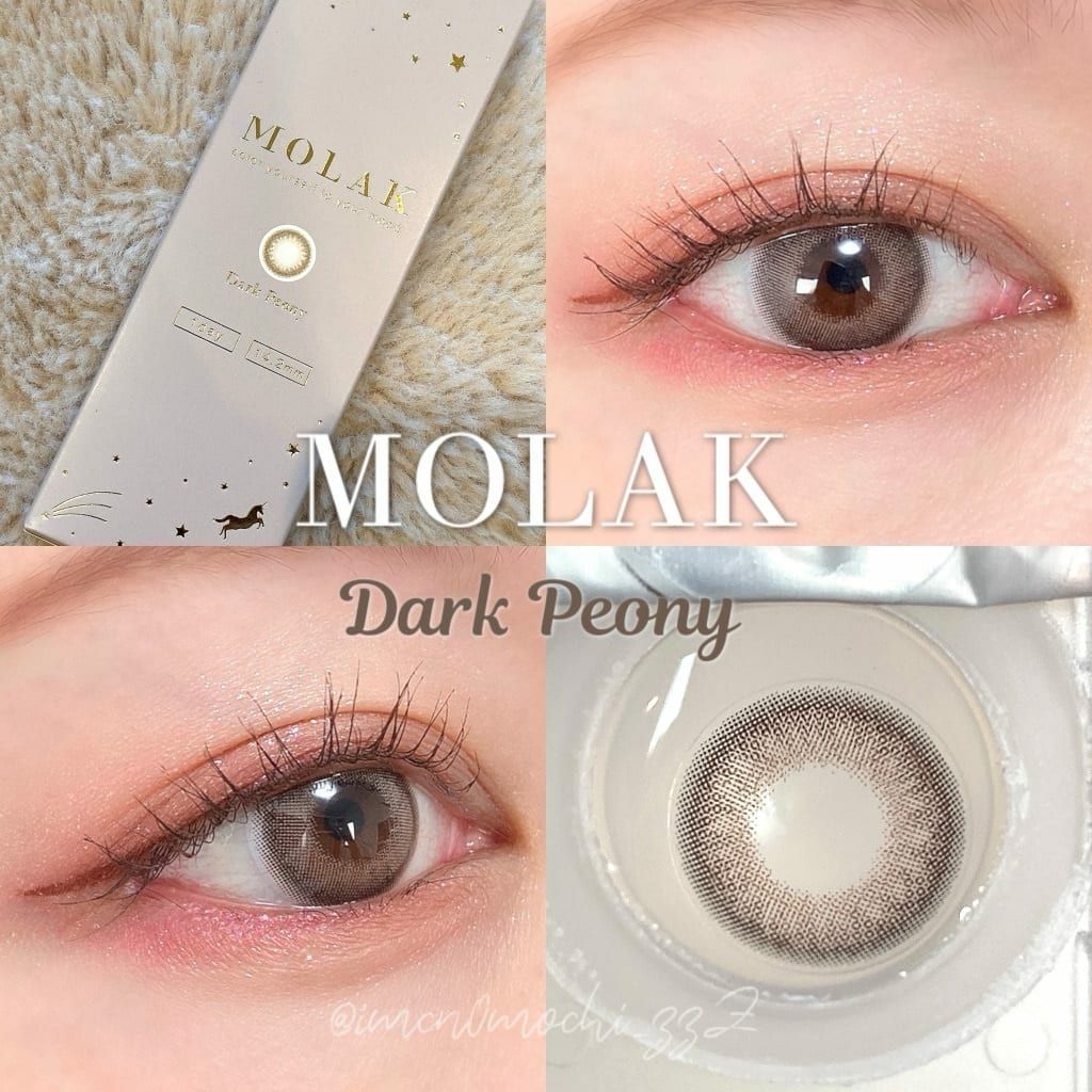 ダークピオニー　モラク　装用画像