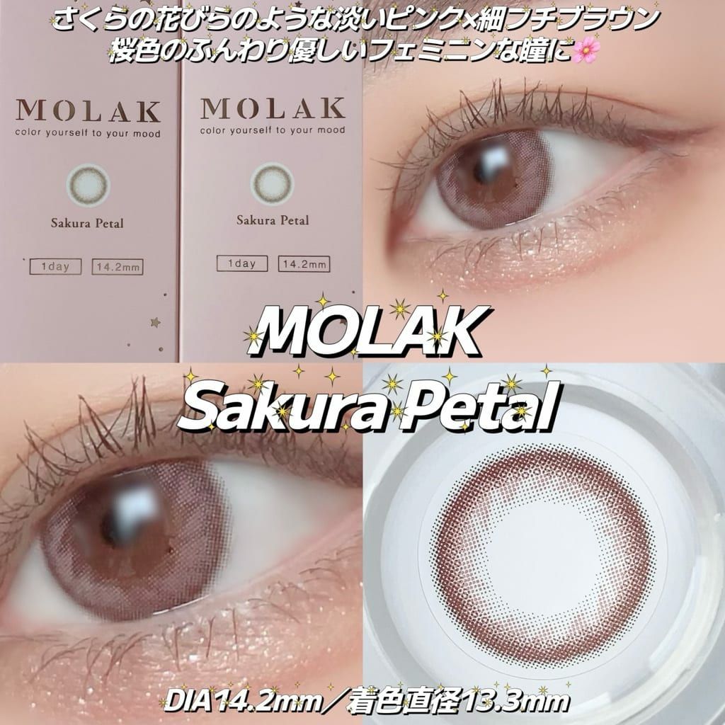 071190 一点限定❗️天然コンクシェルザキラム、貫通穴、14.3＊22.1ミリ 1day] サクラペタル モラク 宮脇咲良 | カラコン通販 LILY ANNA リリー
