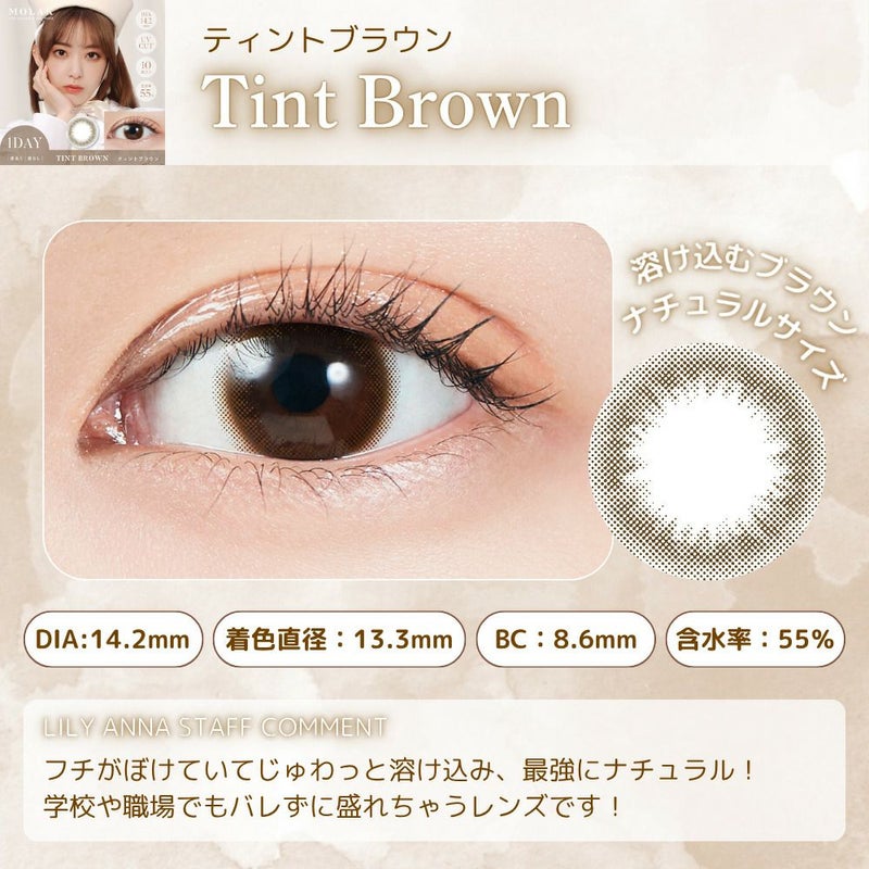 ティントブラウン　モラク　スタッフコメント