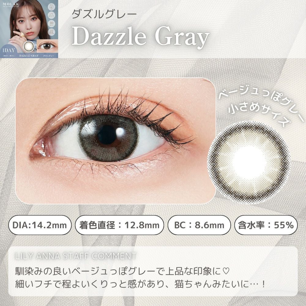 モラク　ワンデー　ダズルグレー　スタッフコメント