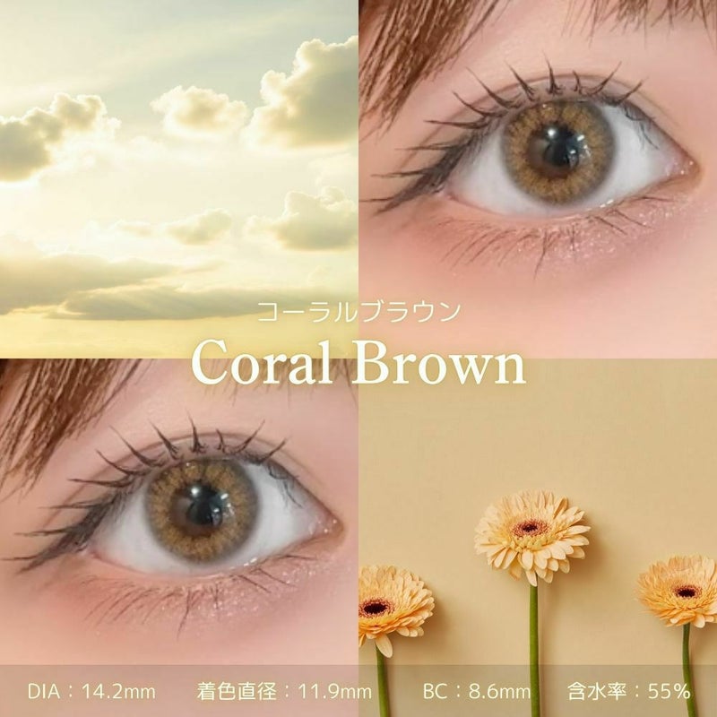 コーラルブラウン　レンズスペック　