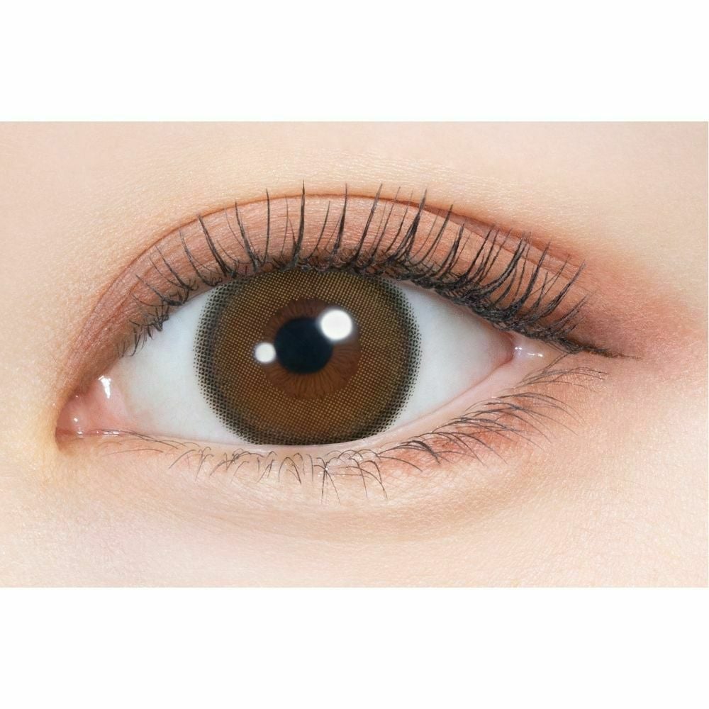 1day] ミレディブラウン ミレディ | カラコン通販 LILY ANNA リリーアンナ