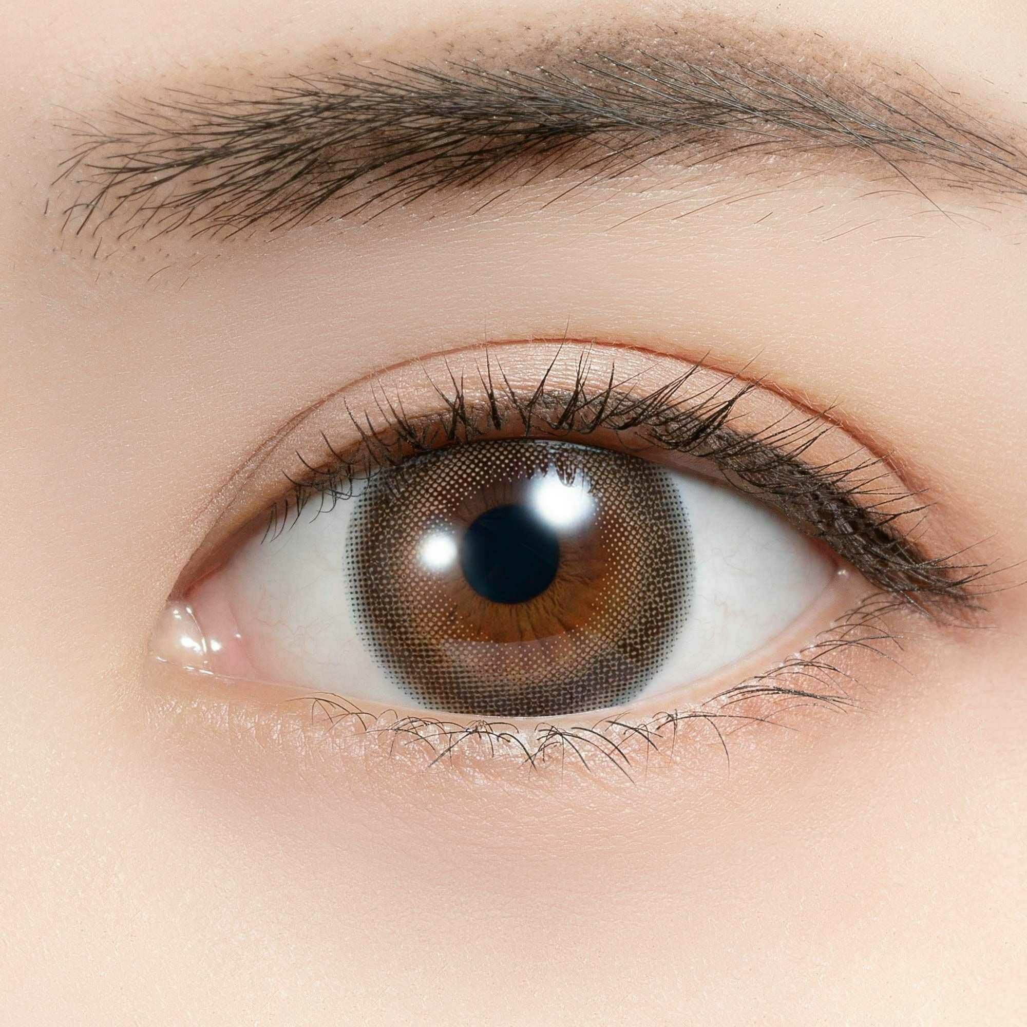 1month] アフォガード フェリアモ | カラコン通販 LILY ANNA リリーアンナ