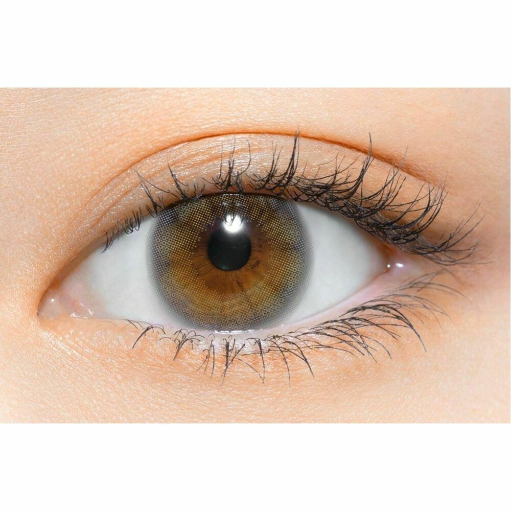 1day] perse エアーグレー パース | カラコン通販 LILY ANNA リリーアンナ