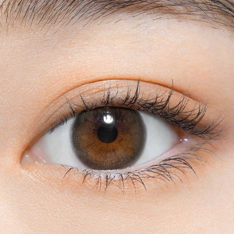 パース ワンデー (perse 1day) カラコン - よしミチ (ミチ よしあき) [1day] パース テディブラウン 装用画像