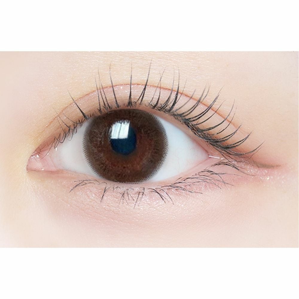  [2week] エルージュ シックブラウン　公式装用画像