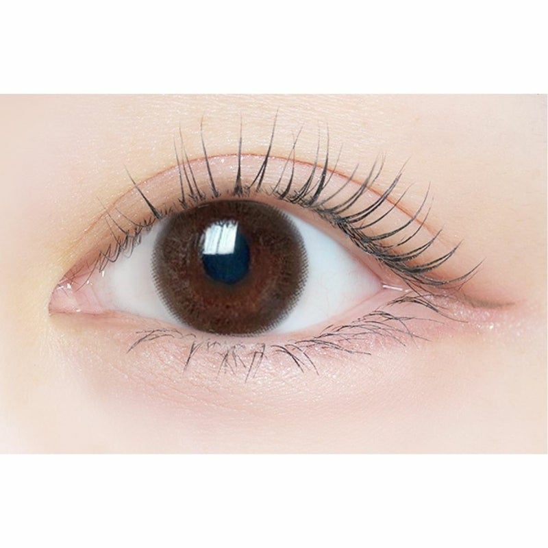  [2week] エルージュ シックブラウン　公式装用画像