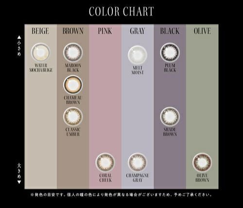 アンヴィ (envie) カラコン - 黒木メイサ ワンデー プラムブラック カラーチャート