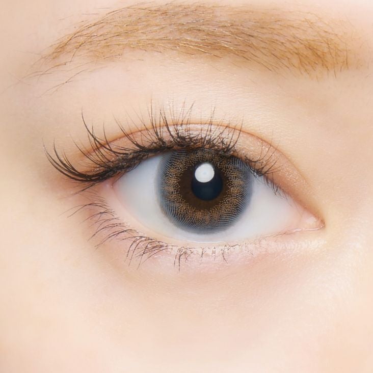 クルーム スモークグレー 公式装用画像