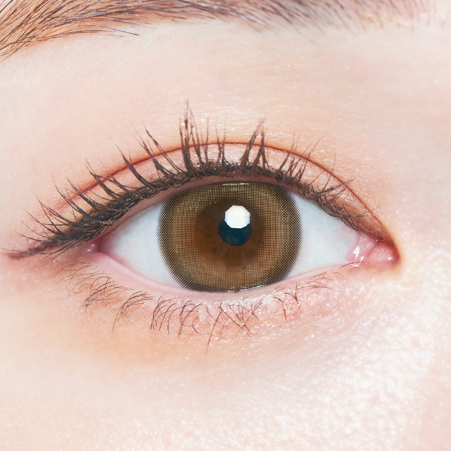 1month] メロウキャメル チューズミー | カラコン通販 LILY ANNA