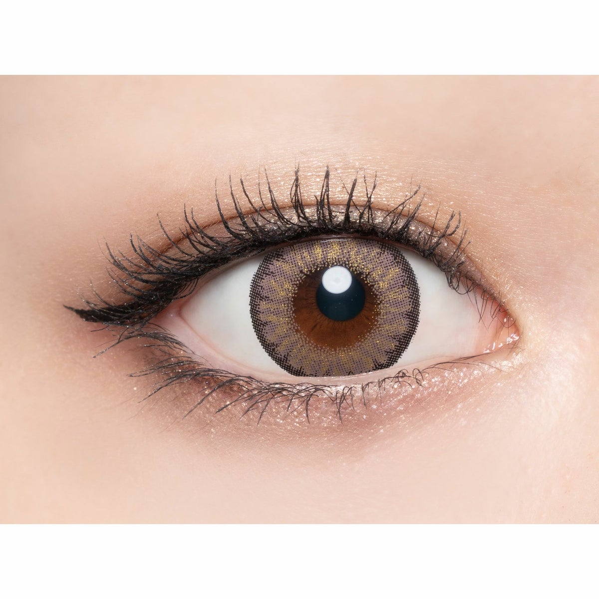 ラヴェール　ルモアヴィーナス　公式装用画像