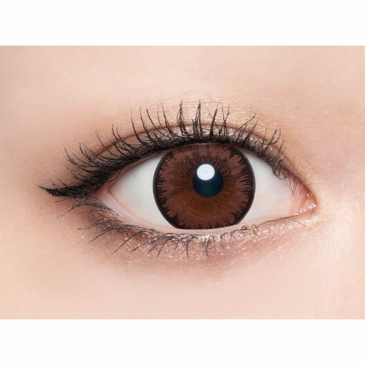 ラヴェール　センシュアルブラウン　公式装用画像