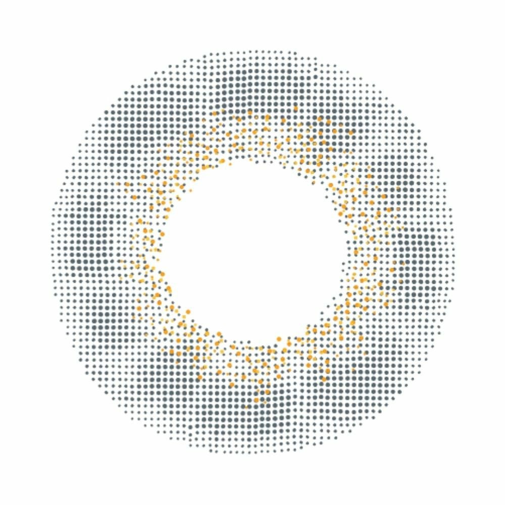 [1day] バンビヴィンテージ ヴィンテージグレー　レンズ画像