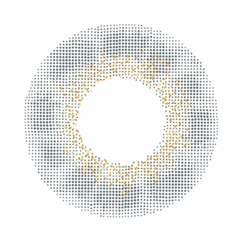 [1day] バンビヴィンテージ ヴィンテージグレー　レンズ画像