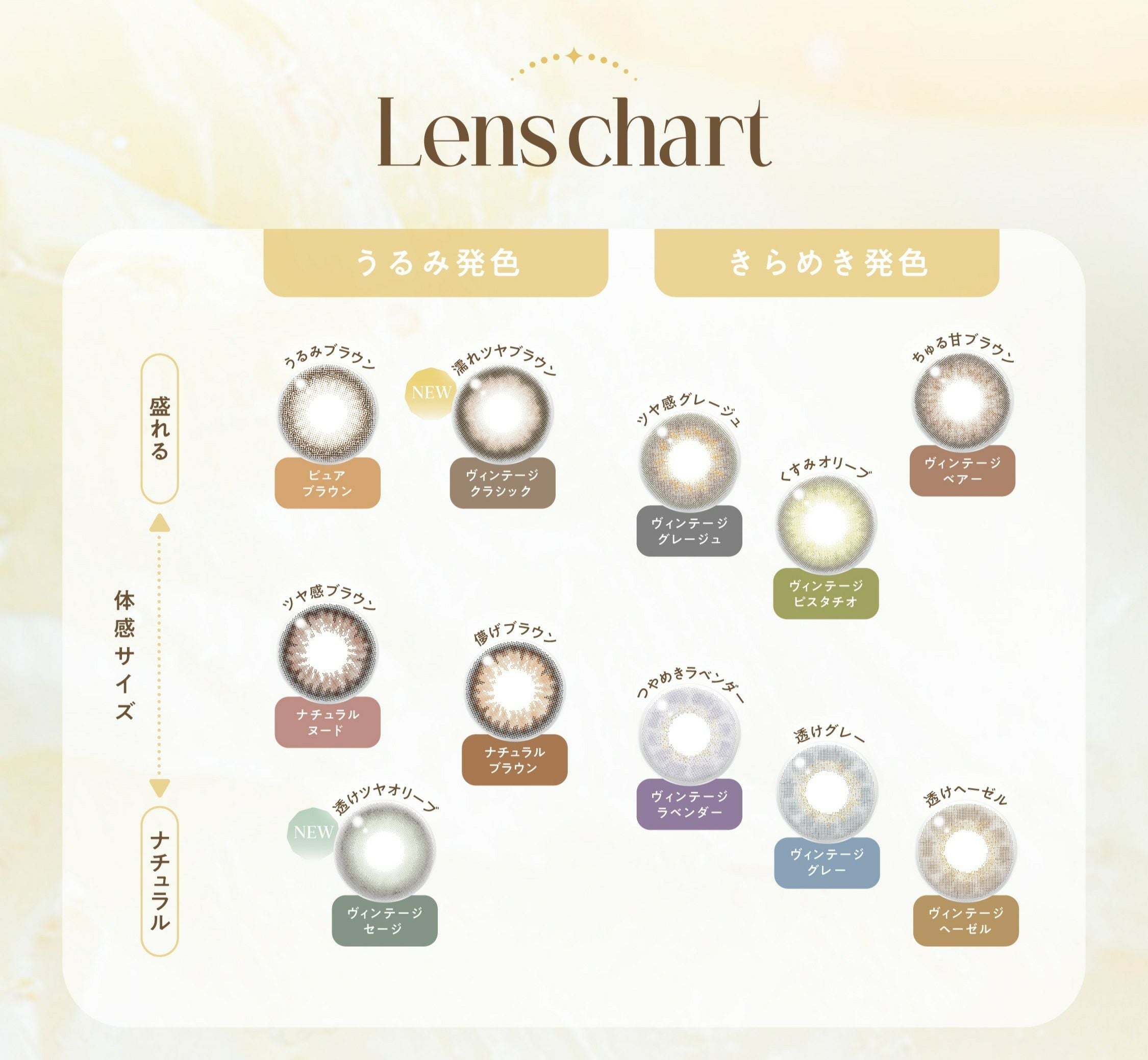 ご契約のお品物　ヴィンテージ　バンビちゃん 1day] ピュアブラウン バンビヴィンテージ | カラコン通販 LILY ANNA