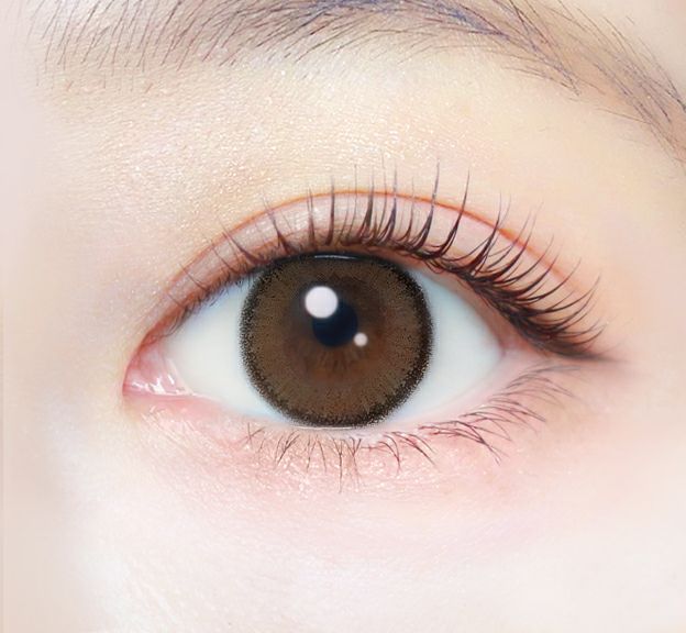 エバーカラーワンデーナチュラル アプリコットブラウン 新木優子 装用画像