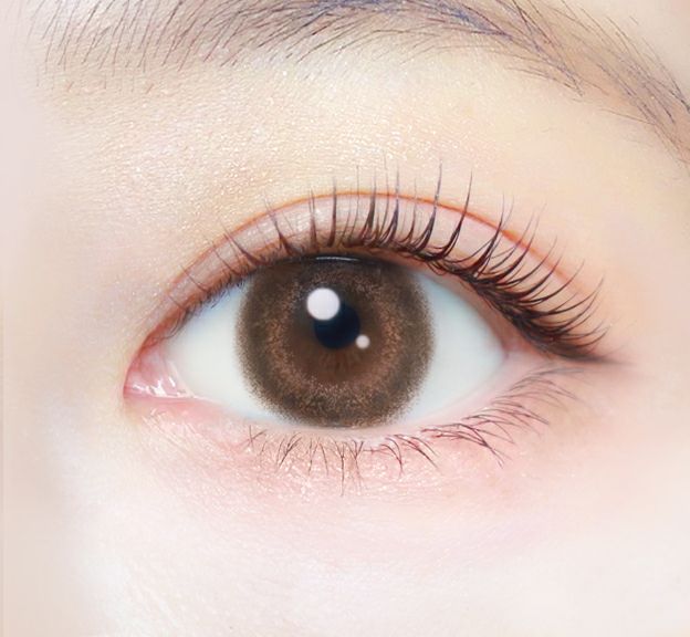 エバーカラーワンデーナチュラルクラシックチーク 新木優子 装用画像