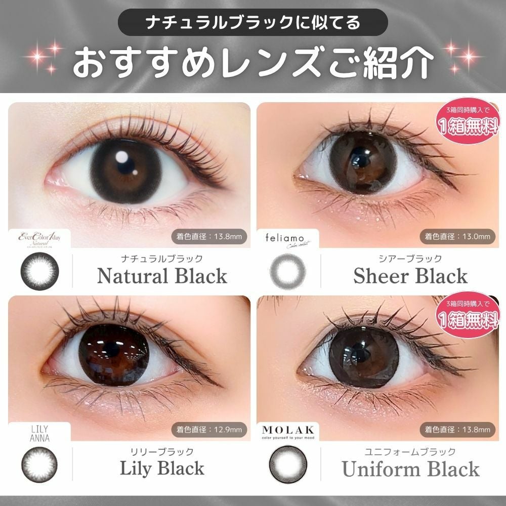 1day] ナチュラルブラック エバーカラー| カラコン通販 LILY ANNA