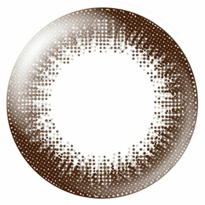  [1day] エバーカラー ワンデー ナチュラル ナチュラルブラウン　レンズ画像