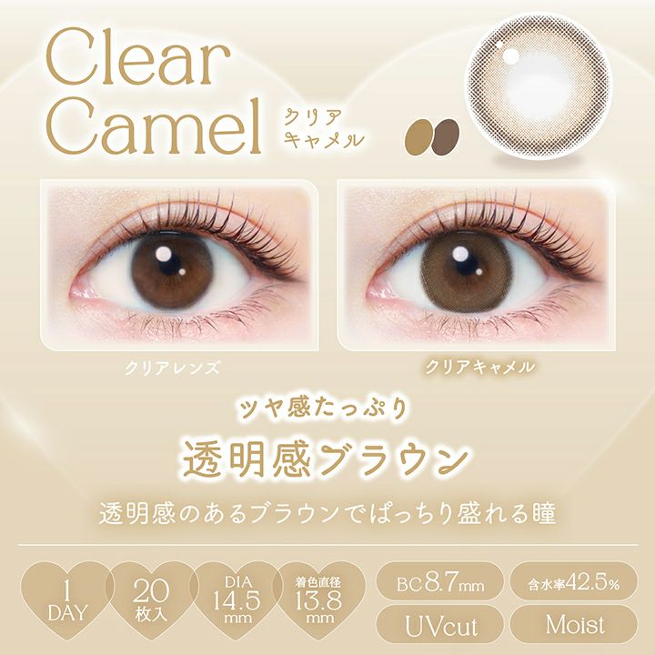 エバーカラーワンデーナチュラル クリアキャメル 新木優子 レンズポイント