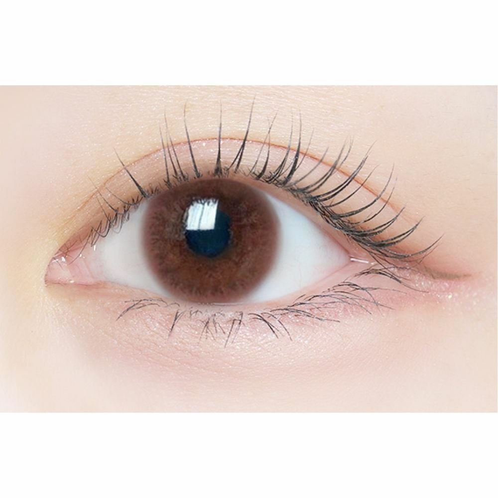  [2week] エルージュ クラリティブラウン　公式装用画像