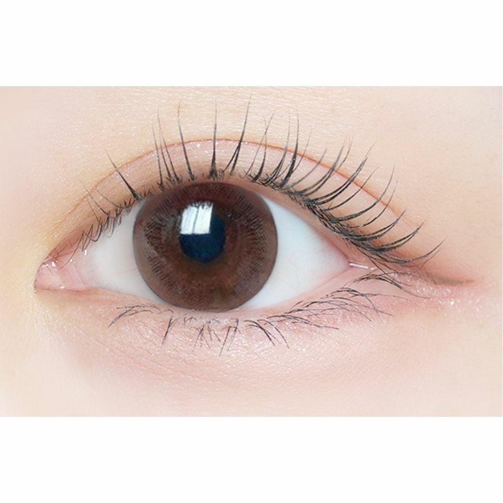  [2week] エルージュ スムースブラウン　公式装用画像