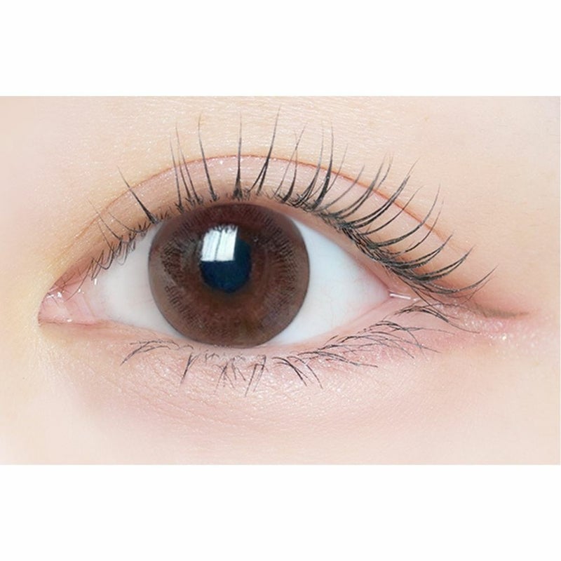  [2week] エルージュ スムースブラウン　公式装用画像