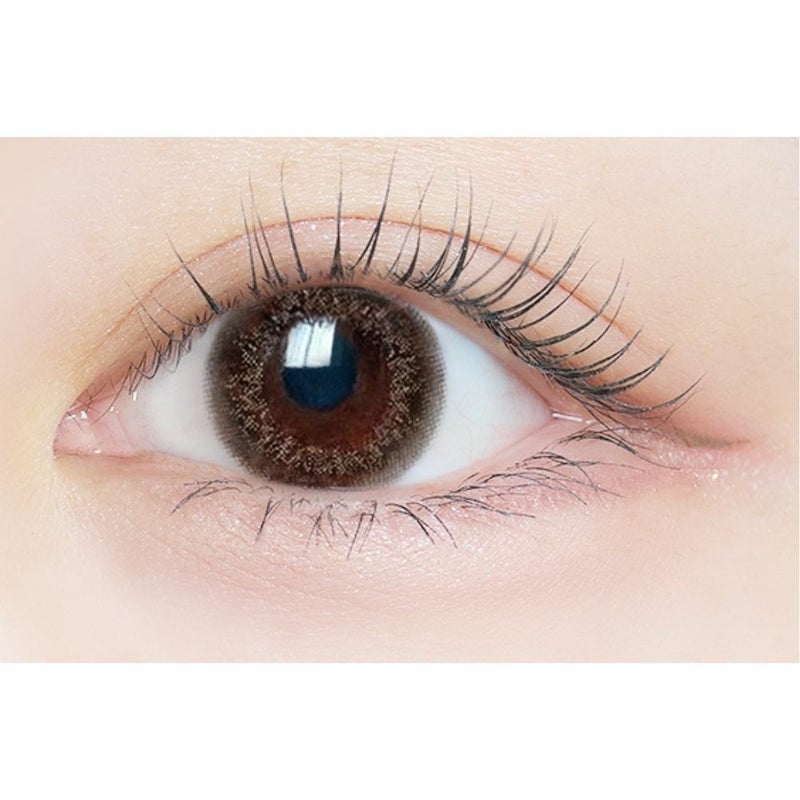  [2week] エルージュ フレアブラウン　公式装用画像