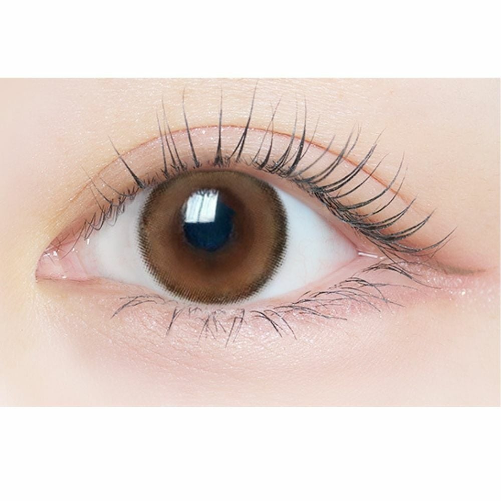  [2week] エルージュ ベイクドスフレ　公式装用画像