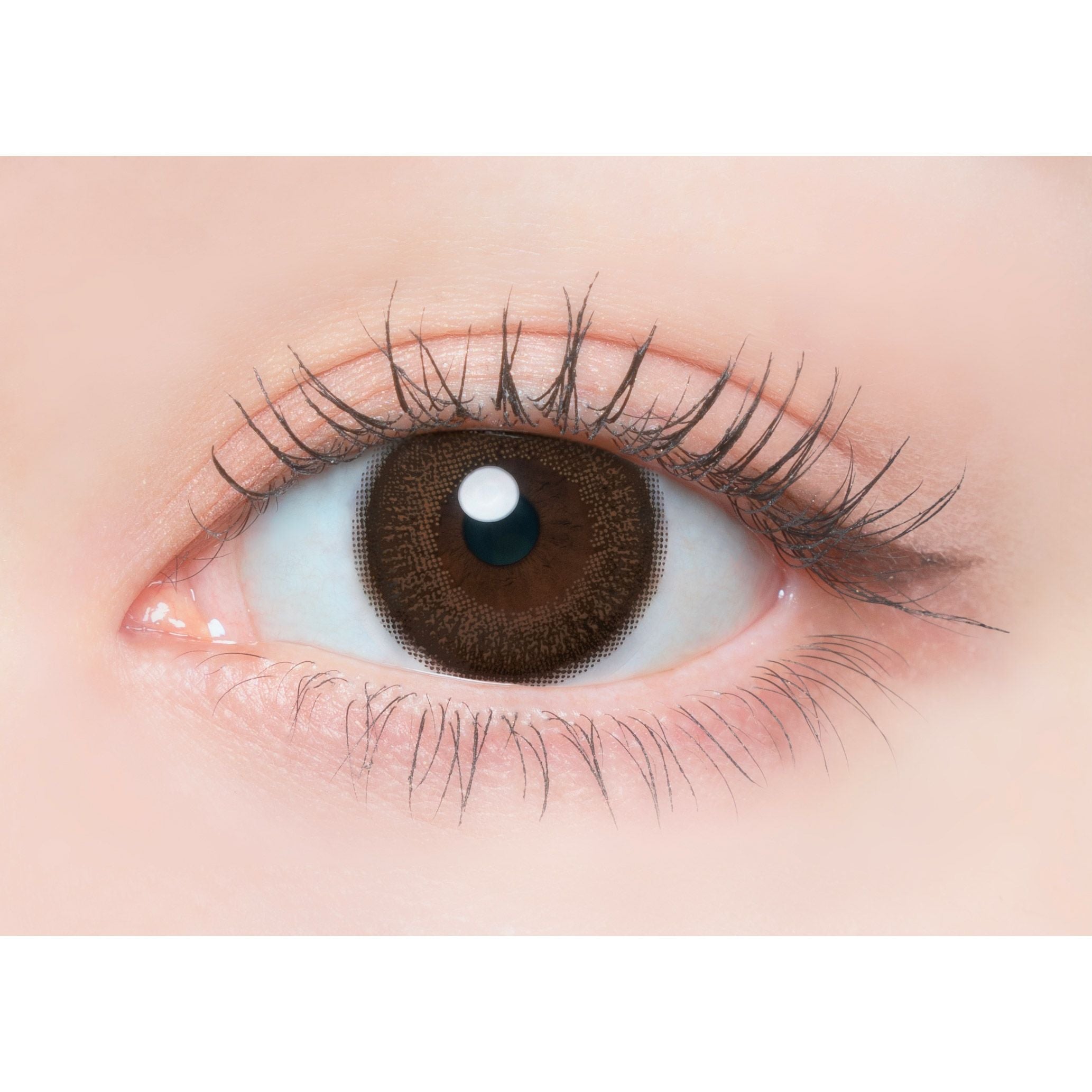 1day] カカオワッフル フランミー | カラコン通販 LILY ANNA リリーアンナ