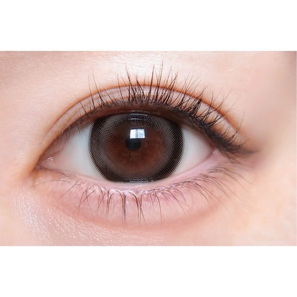 1day] 溺愛グレー トリコニナル| カラコン通販（送料無料） LILY ANNA