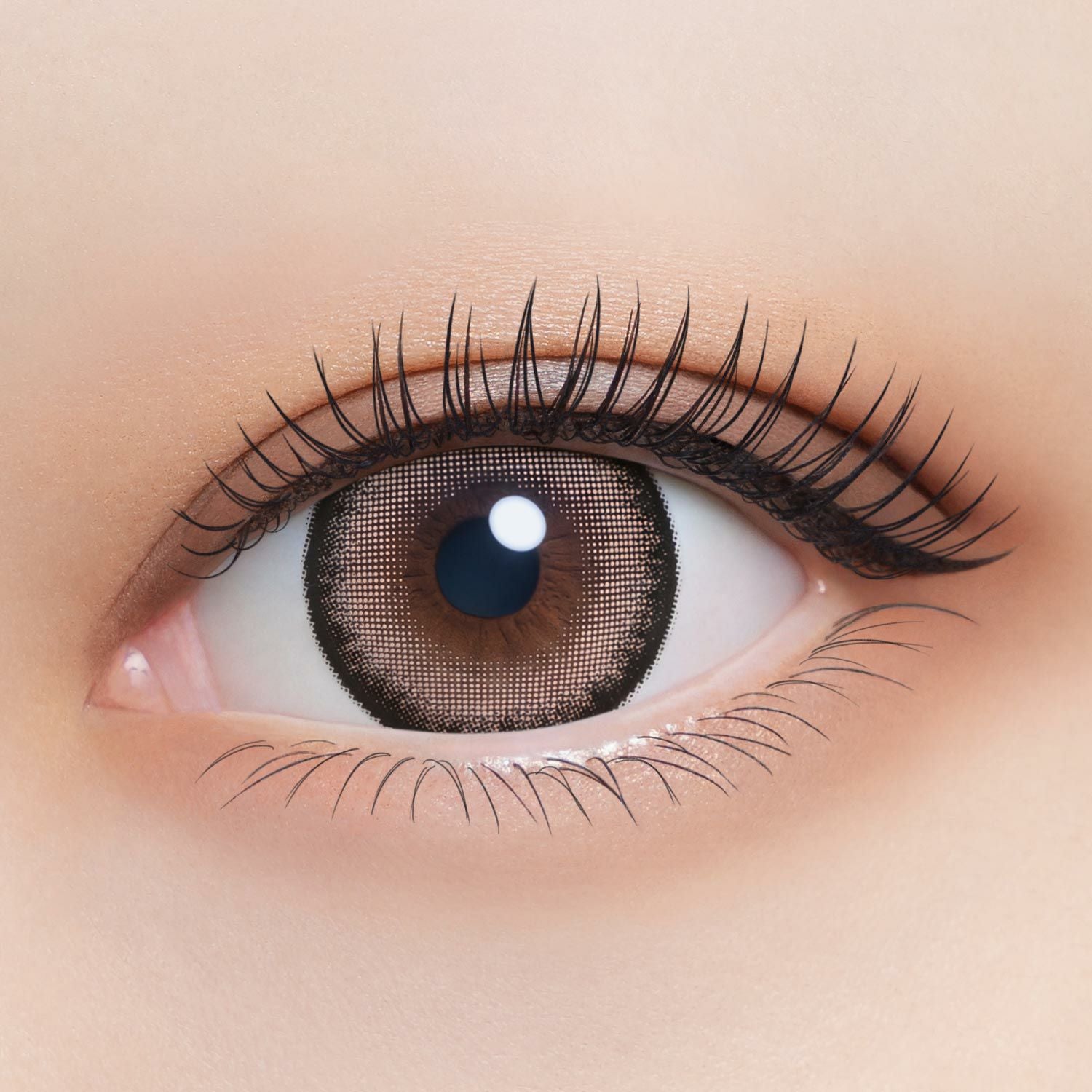 1day] スパイシークイーン リセイ 田向星華 |カラコン通販 LILY ANNA