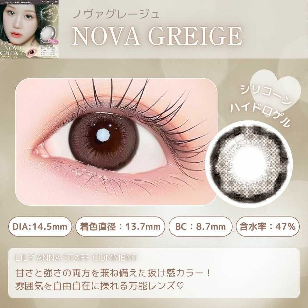 エーアイ　ノヴァグレージュ　スタッフコメント