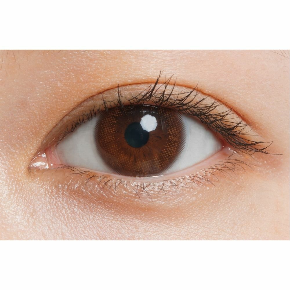 ルミアコンフォート2ウィークサークル カラコン 森絵梨佳 パフブラウン 公式装用画像