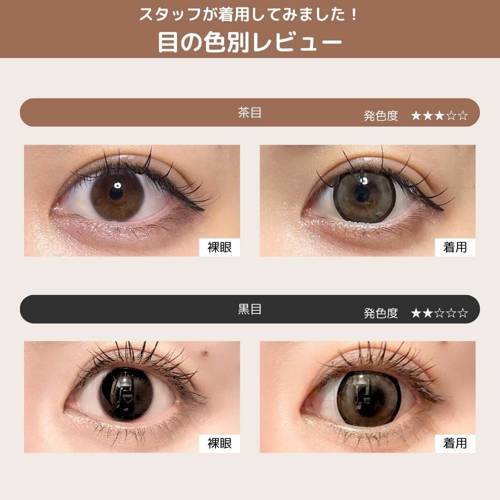 1day] ビスケットベージュ ミシュー | カラコン通販 LILY ANNA リリー