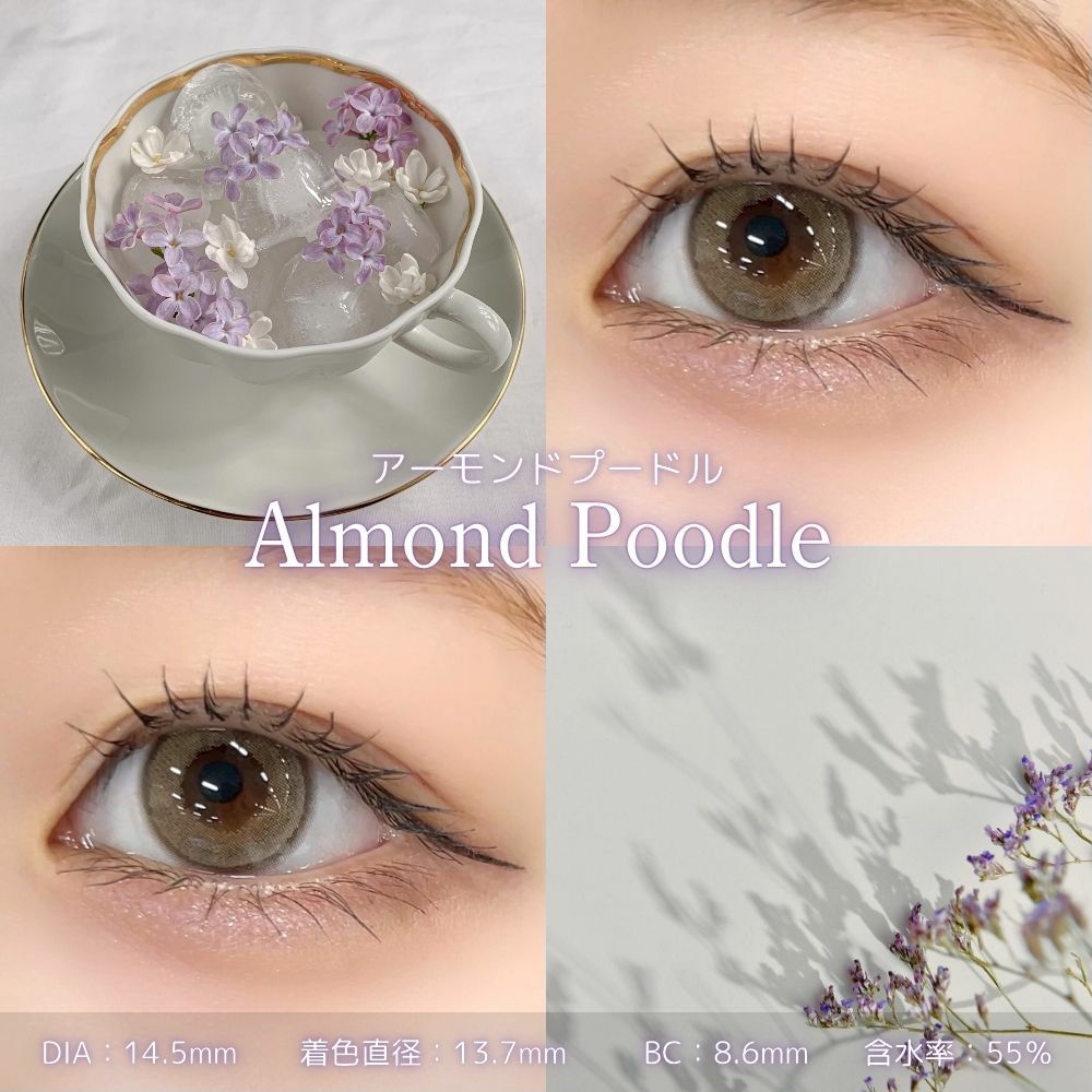 フェリアモワンデー　アーモンドプードル　レンズスペック