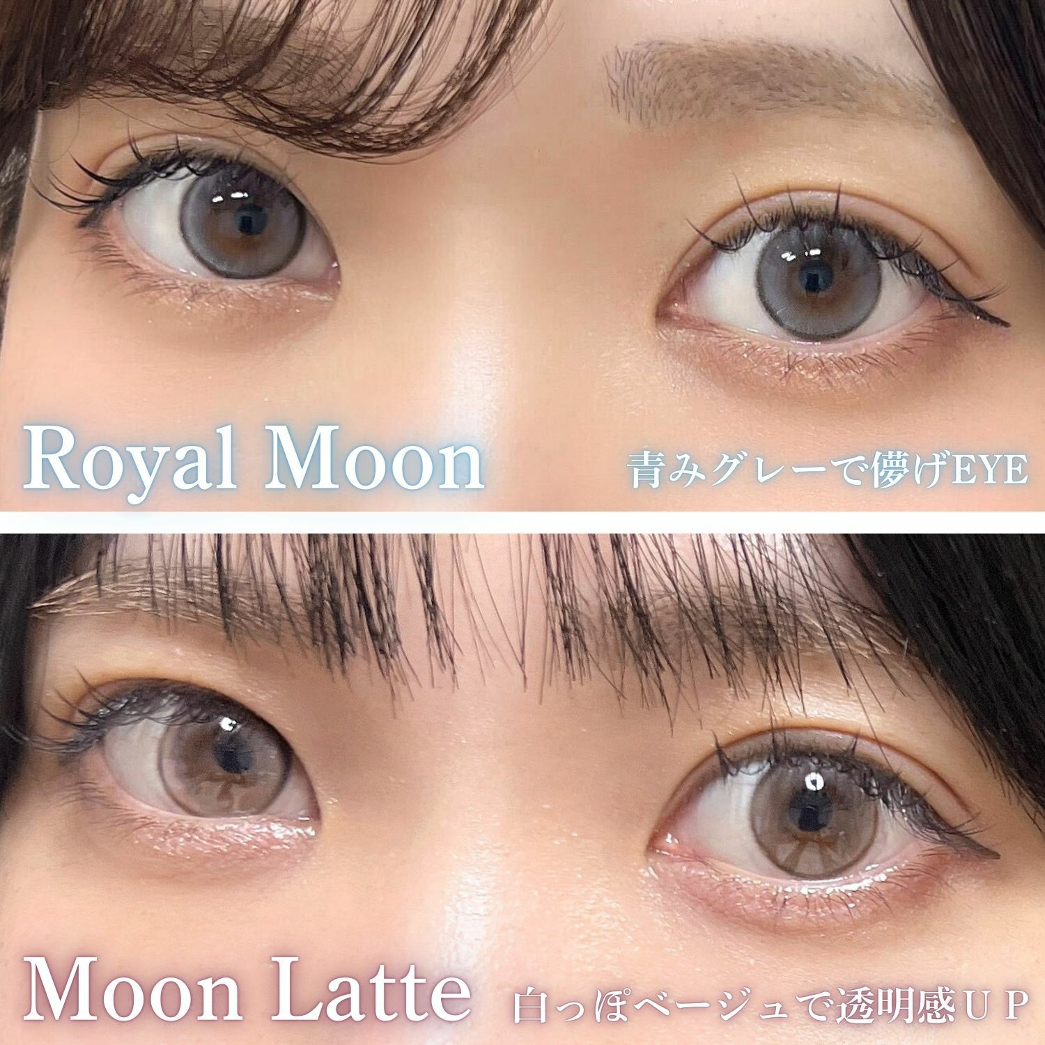 1day] ロイヤルムーン ミミシャルム| カラコン通販 LILY ANNA リリーアンナ