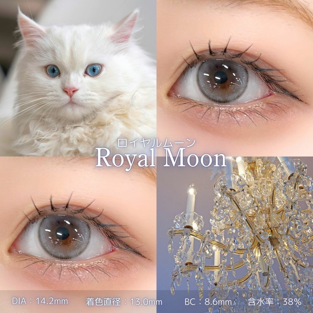 ロイヤルムーンスタッフ装用インスタ画像