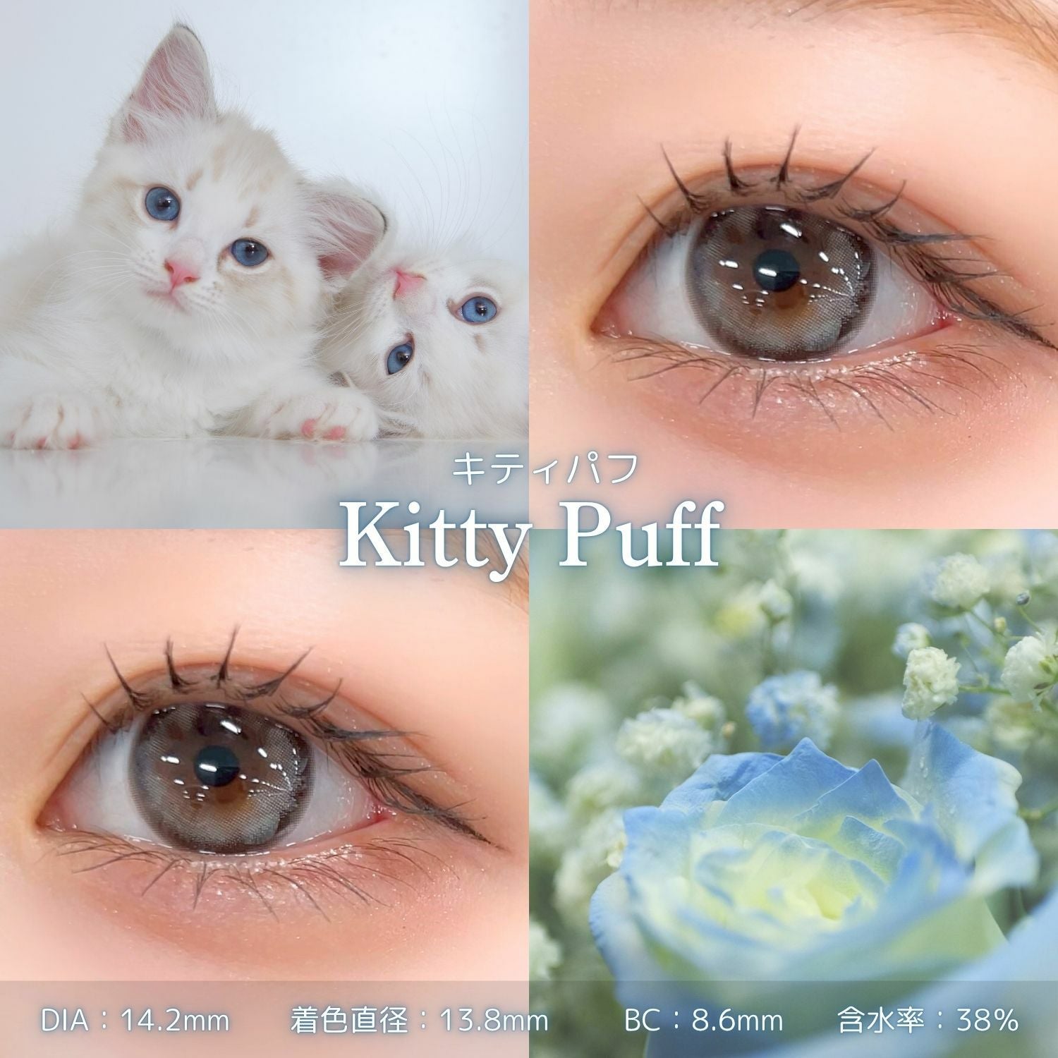 1day] キティパフ ミミシャルム| カラコン通販 LILY ANNA リリーアンナ